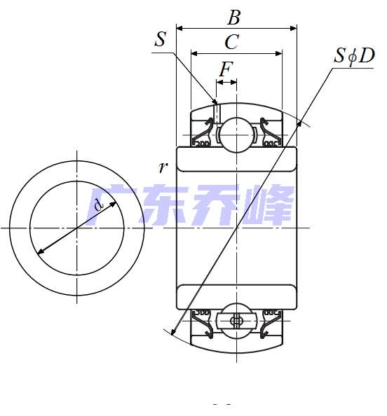 NTN DS214TTR5軸承圖紙